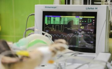 Obezita zkracuje život. Genetika za ni nemůže
